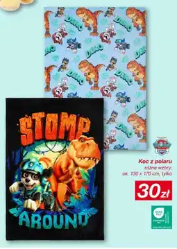 KiK Koc z polaru Paw Patrol Stomp Around oferta