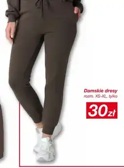KiK Damskie dresy Janina oferta