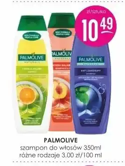 Jaśmin Szampon do włosów Palmolive oferta