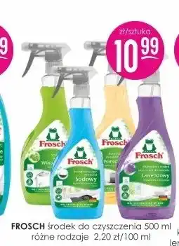 Jaśmin Środek do czyszczenia Frosch oferta