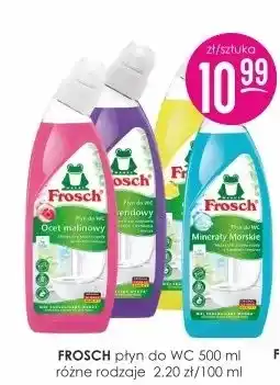 Jaśmin Płyn do WC Frosch oferta