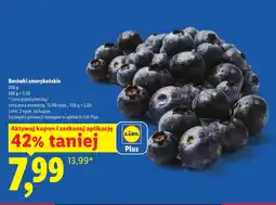 Lidl Borówki amerykańskie Plus-Plus oferta