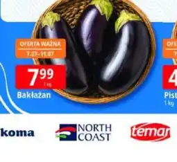 E.Leclerc Bakłażan oferta
