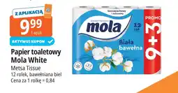 E.Leclerc Papier toaletowy Mola White oferta