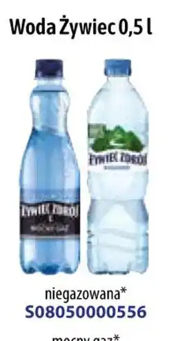 AT Woda Żywiciel oferta
