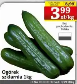 Marmax Ogórek szklarnia oferta