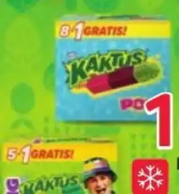 Selgros Kaktus oferta