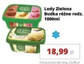 Torimpex Lody Zielona Budka oferta