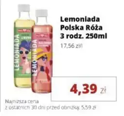 Torimpex Lemoniada Polska Róża oferta