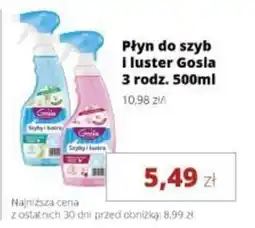 Torimpex Płyn do szyb i luster Gosia oferta