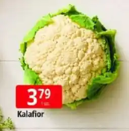 E.Leclerc Kalafior oferta