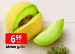 E.Leclerc Melon galia oferta