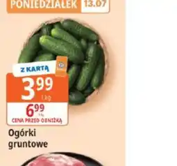 E.Leclerc Ogórki gruntowe oferta