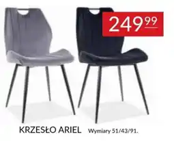 Abra KRZESŁO ARIEL oferta