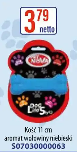AT Kość Dog Life 5 oferta