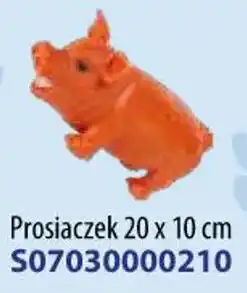 AT Prosiaczek oferta