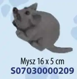 AT Mysz oferta