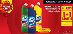 Biedronka Płyn do toalet Domestos oferta