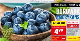 Biedronka Polska borówka amerykańska, opak oferta