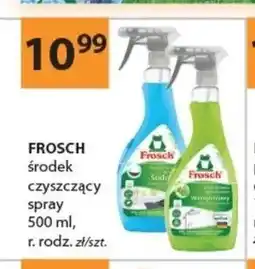 Drogerie Laboo Środek czyszczący spray Frosch oferta