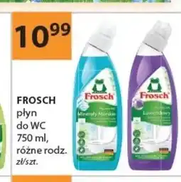Drogerie Laboo Płyn do WC Frosch oferta