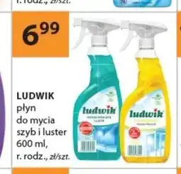Drogerie Laboo Płyn do mycia szyb i luster Ludwik oferta