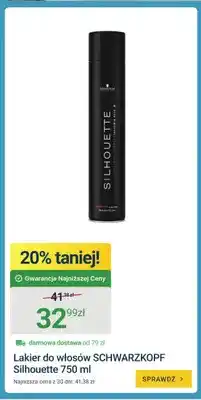 ERLI Lakier do włosów Schwarzkopf Silhouette oferta