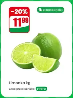Dino Limonka oferta