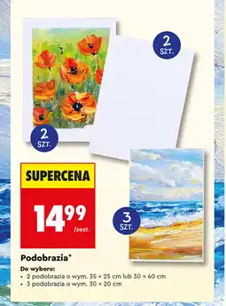 Biedronka Podobrazie oferta