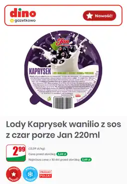 Dino Jan Lody Kaprysek waniliowe z sosem z czarnej porzeczki oferta