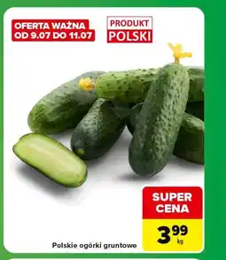 Carrefour Express Polskie ogórki gruntowe oferta