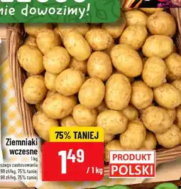 Polomarket Ziemniaki wczesne oferta