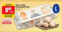 Polomarket Jaja L z chowu ściółkowego Marysia oferta
