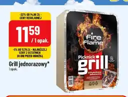 Polomarket Grill jednorazowy Fire & Flame Picknick oferta