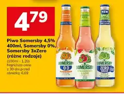 Hitpol Piwo Somersby Strawberry & Kiwi oferta