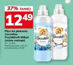 Hitpol Płyn do płukania Coccolino Blue Splash oferta