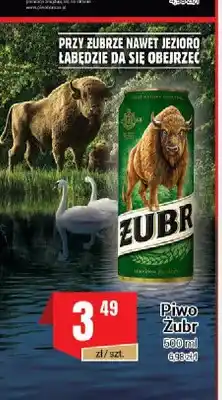 Premium Nasz Sklep Piwo Żubr oferta