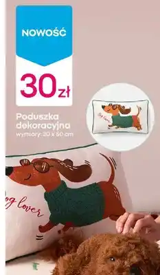Pepco Poduszka dekoracyjna oferta
