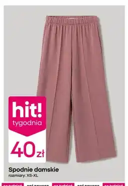 Pepco Spodnie damskie oferta