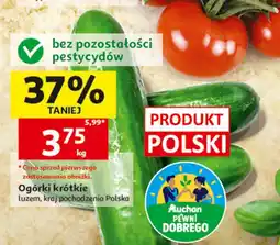 Auchan Ogórki krótkie oferta