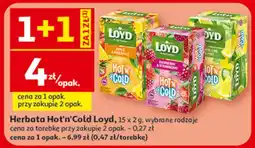Auchan Herbata Hot'n'Cold Loyd oferta