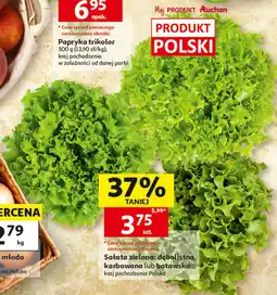 Auchan Sałata zielona: dębolistna, karbowana lub batawska oferta