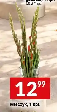 Twój Market Mieczyk oferta