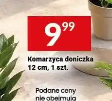 Twój Market Komarzyca doniczka 12 cm oferta