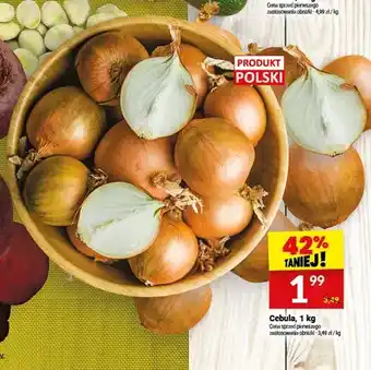Twój Market Cebula polska oferta