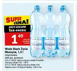 Twój Market Woda niegazowana Skarb Życia Muszyna 6-pak oferta
