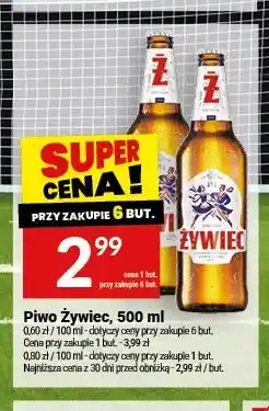 Twój Market Piwo Żywiec oferta