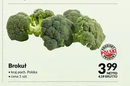 Makro Brokuł oferta