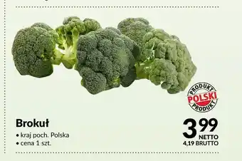 Makro Brokuł oferta