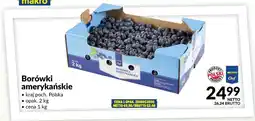 Makro Borówki amerykańskie oferta